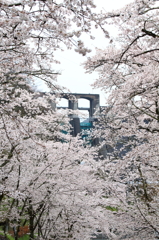 桜ダム