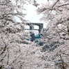 桜ダム