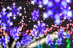 輝く雪