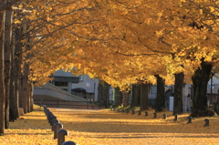 ITYOU ROAD