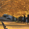 ITYOU ROAD