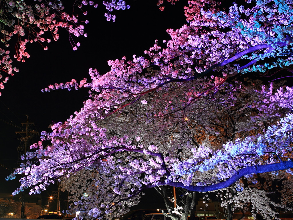 七変化