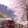 桜鉄道