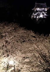 桜城