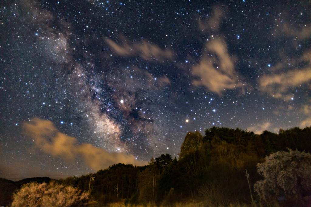 里山の夜空