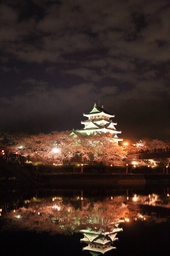 一夜城のさくら
