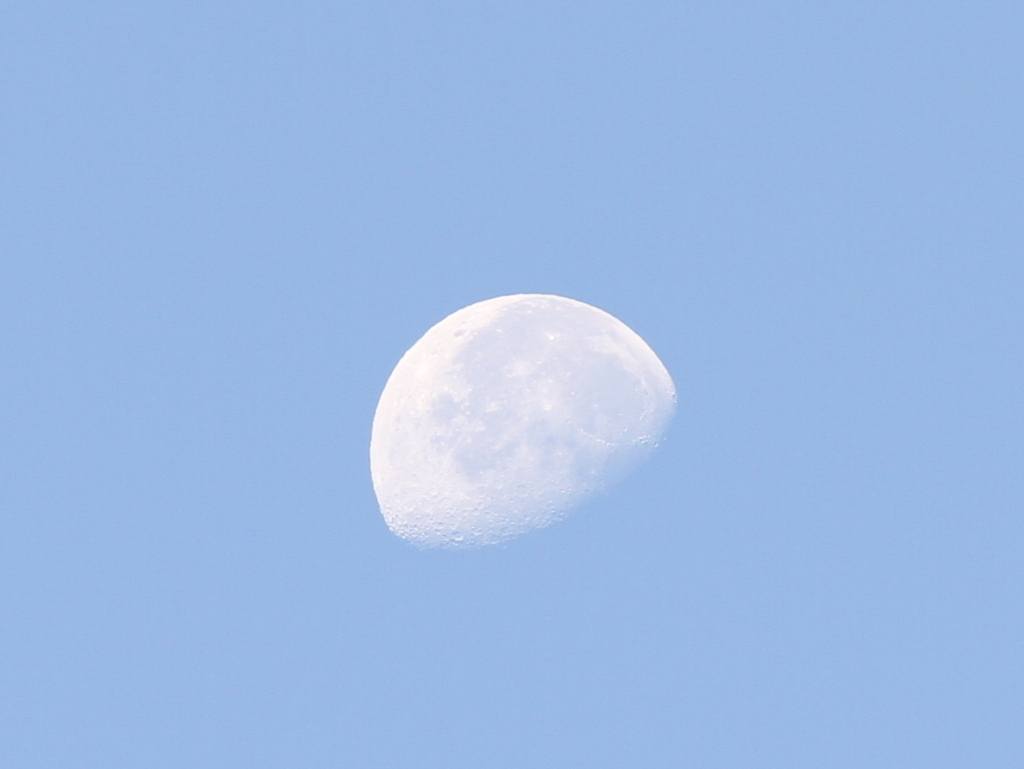 朝の月