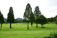 国民休暇村