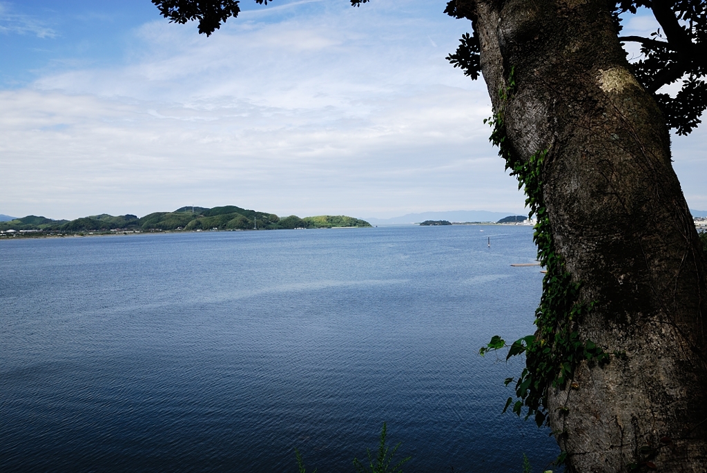 中海