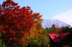 大山と紅葉