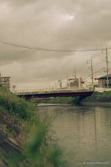 シーバスのいる川