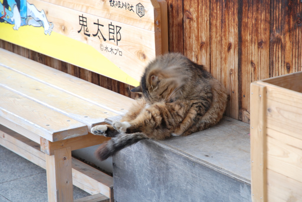 ベンチ