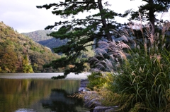大野池