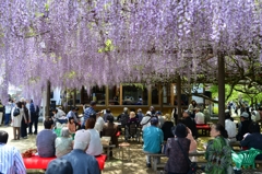 2014.ふじ寺
