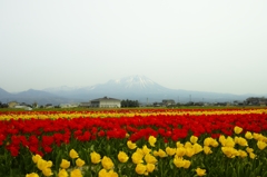 日吉津から大山