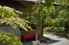 由志園　もみじ