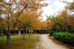 近所の公園