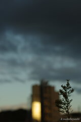やっと涼しく