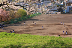ある日の午後