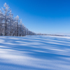 雪原