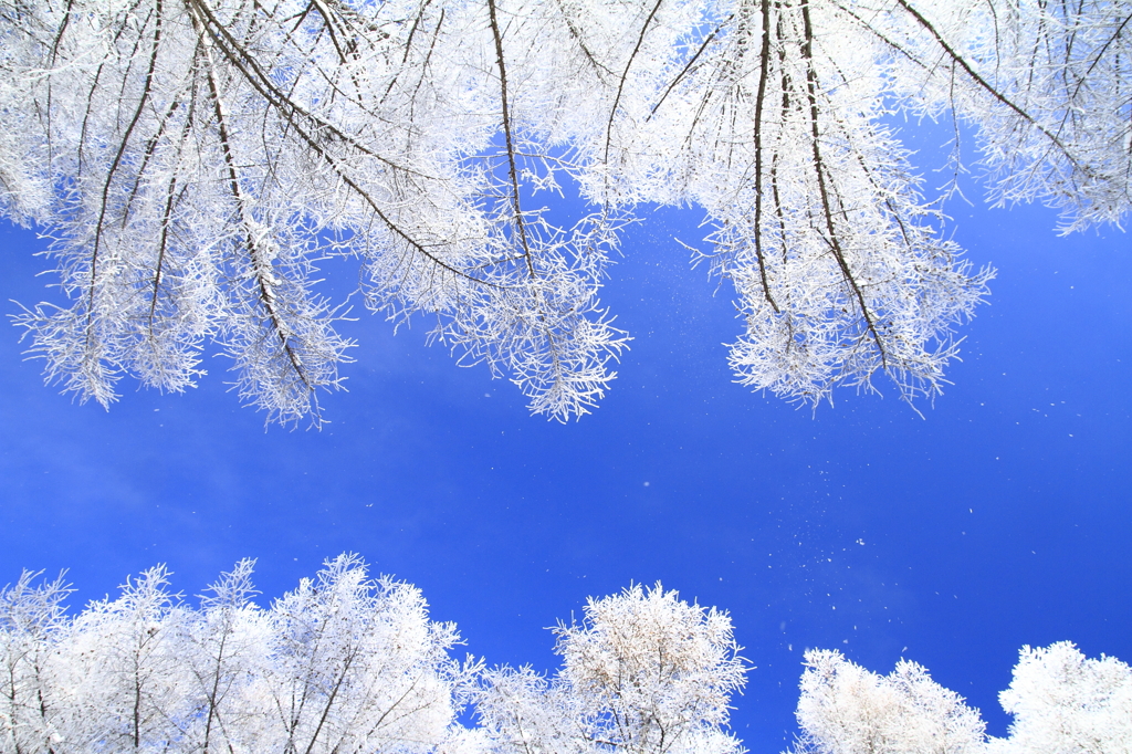 sky blue