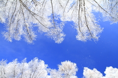 sky blue