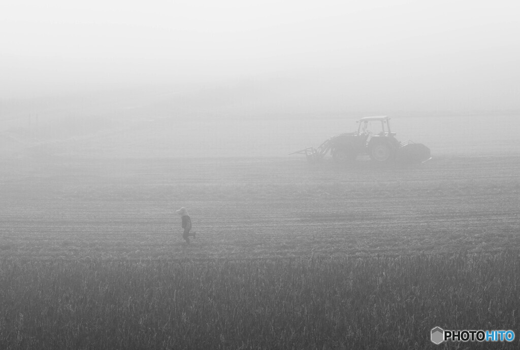 朝霧