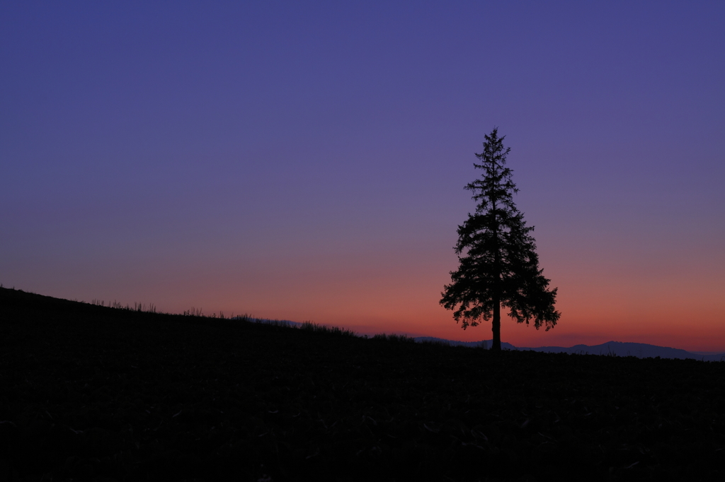 twilight