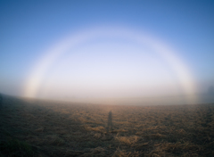 white arch