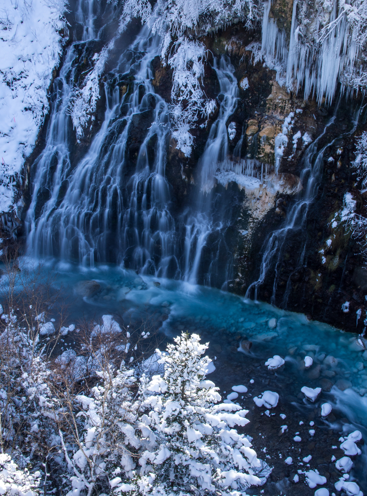 雪化粧