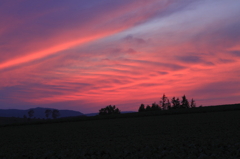 染まる夕空