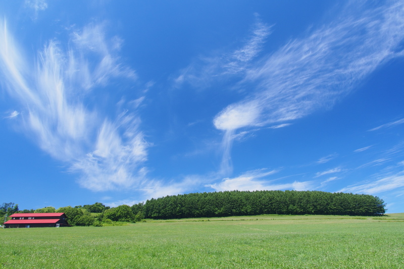 夏空