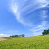 夏空