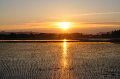 夕陽