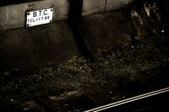 B.T.C.