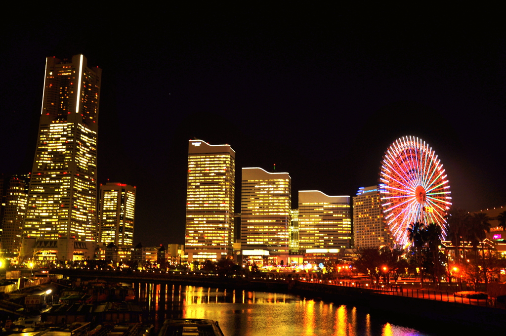 Harbor Future