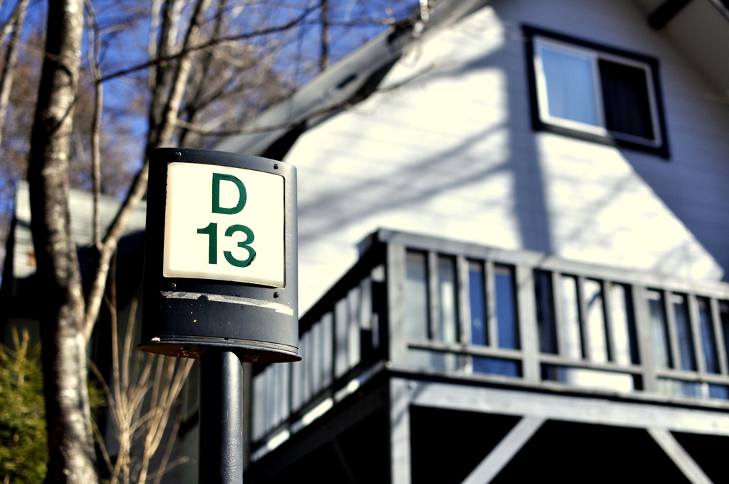 D13