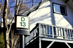 D13