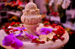 Water fountain2