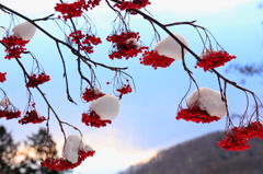 雪帽子