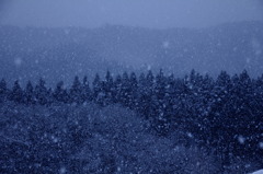雪に埋もれる