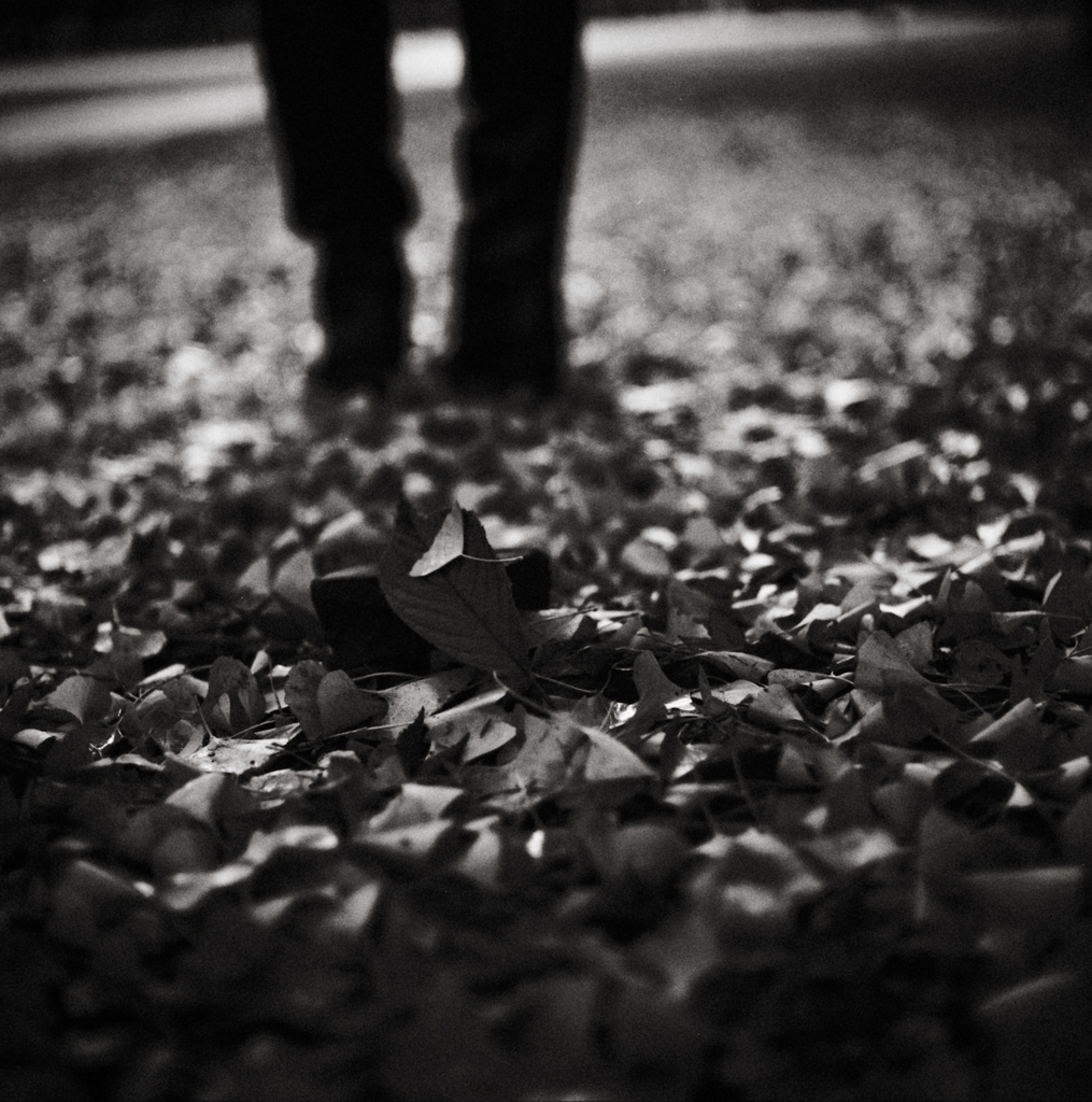 toward you