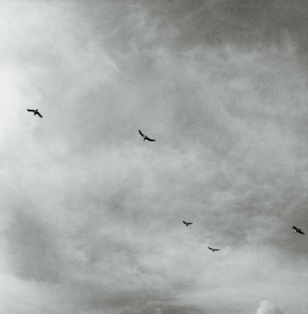 desire to be free