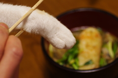 間違えた