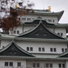 城