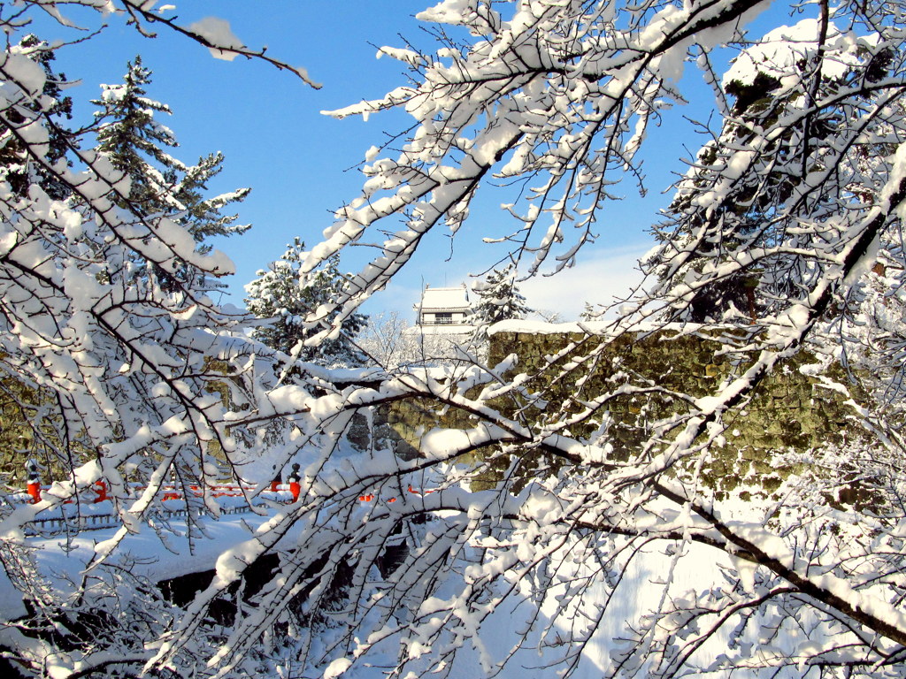 雪・雪・鶴ヶ城
