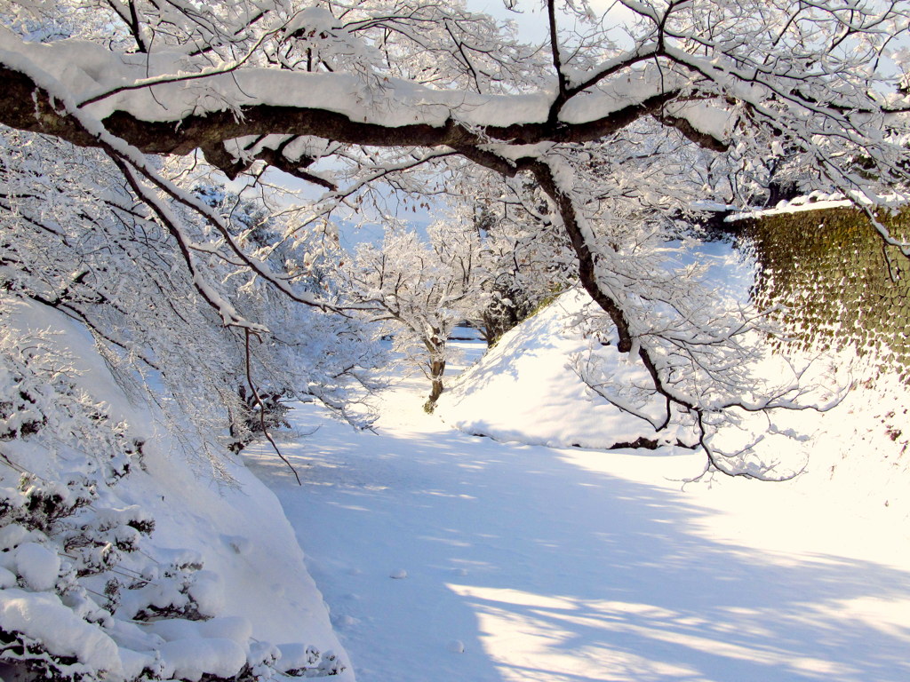 雪・雪・鶴ヶ城