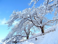 会津武家屋敷