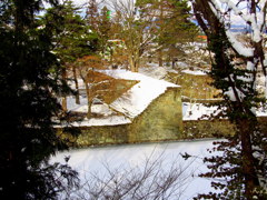 　冬の鶴ヶ城　石垣と堀