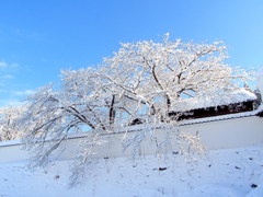 会津武家屋敷